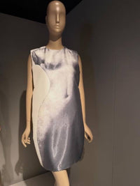 Lanvin Spring 2013 Tromp L'oeil Statue Print Silk Dress